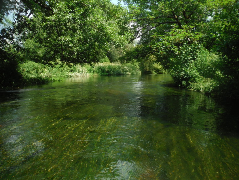 No weed cutting on the Avon this year